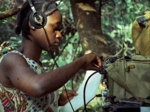 Eine Schwarze Frau steht vor einem Baum. Sie bedient ein Gerät, das in einer Tasche ist.